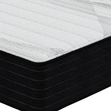 Load image into Gallery viewer, HealthyRest Explorer Plush 5000