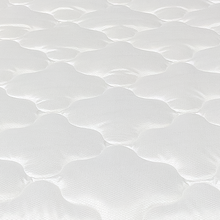 Load image into Gallery viewer, Posture Beach Plush